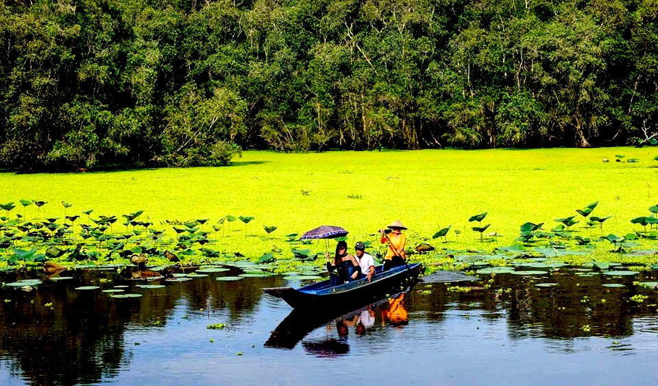 rừng tràm Trà Sư rừng tràm Trà Sư